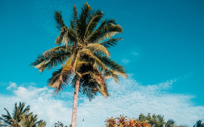 Corozal